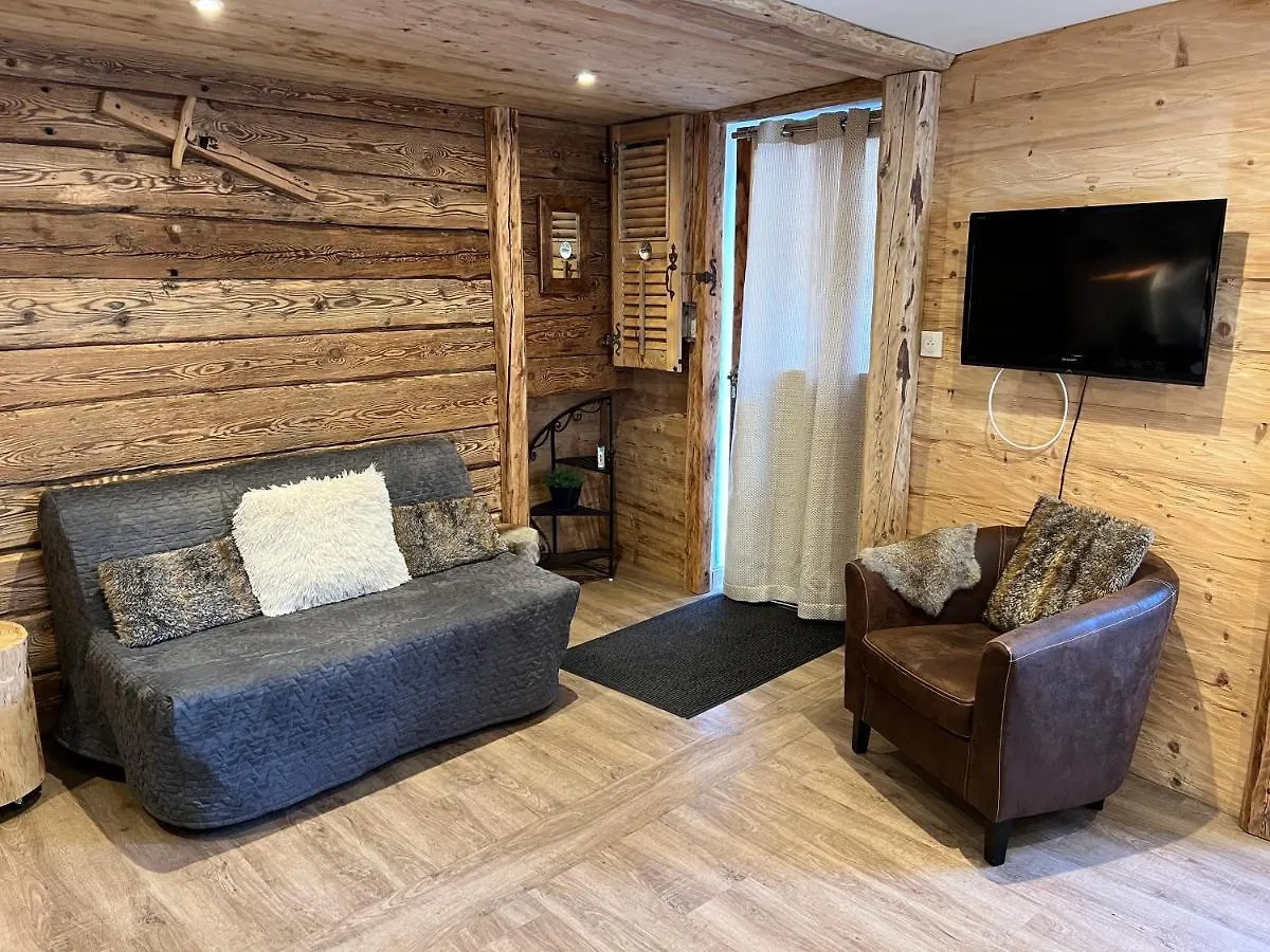 La Dorbluche Duplex Apartment 10-11 Person Longefoy