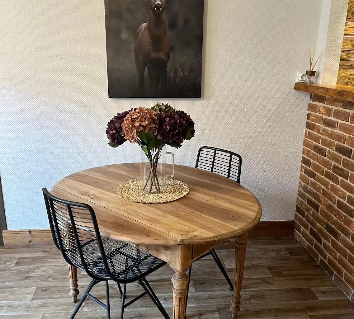 La Dorbluche Duplex Apartment 10-11 Person Longefoy